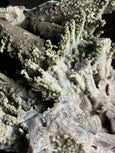 Quartzo Pseudomorfo