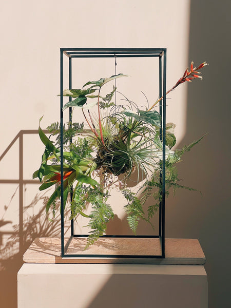 escultura botânica FLO atelier botânico