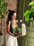 Terrário Gênio 🌱