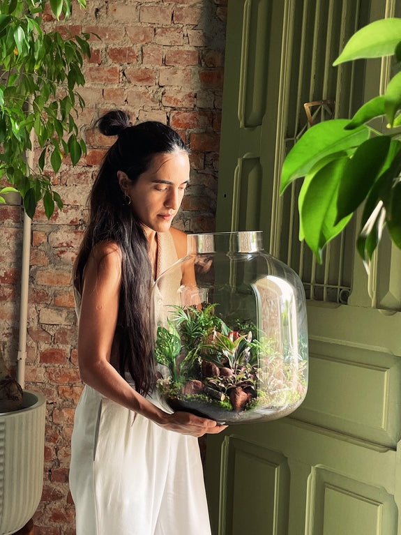 Terrário Gênio 🌱