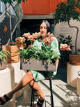 arranjo vivo orquideas plantadas perséfone FLO atelier botânico entrega flores de luxo sp