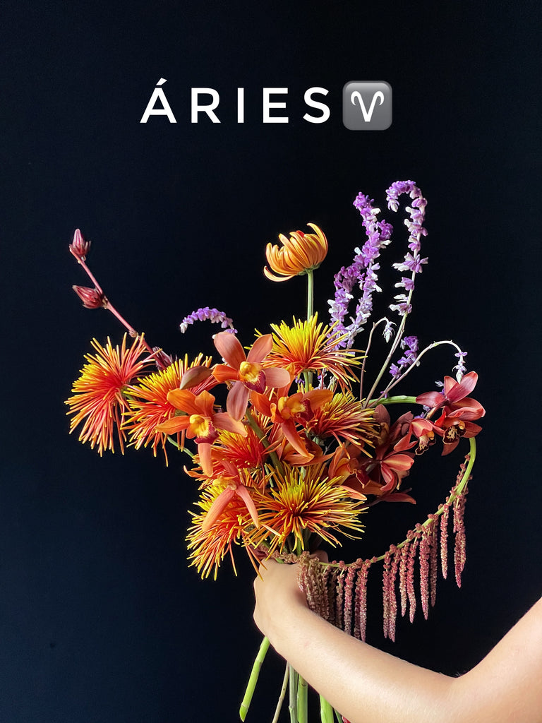 Buquê Áries ♈️