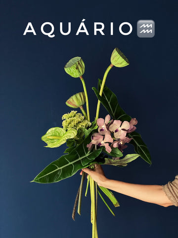 Buquê Aquário ♒️