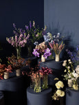 workshop ikebana: o essencial 20/06