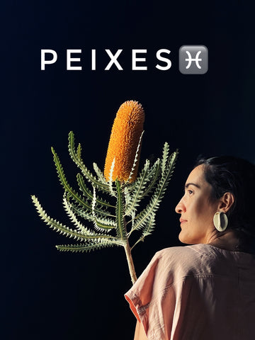 Buquê Peixes ♓️