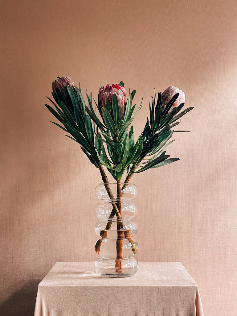 Protea Pink Ice trio