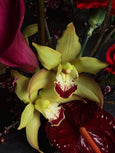 shuffle floral deluxe