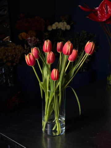 Tulipas
