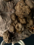 Calcita Ogolite