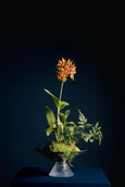 Kusamono em FLOr