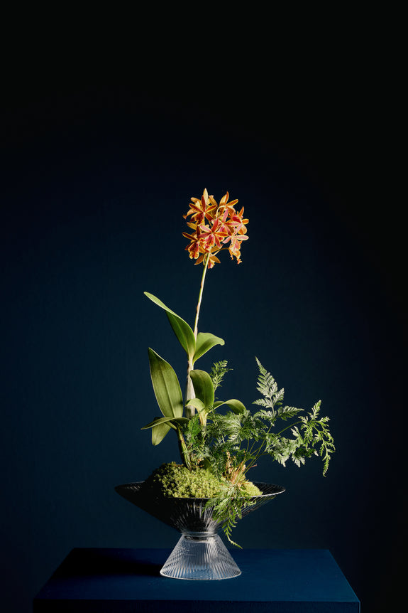 Kusamono em FLOr