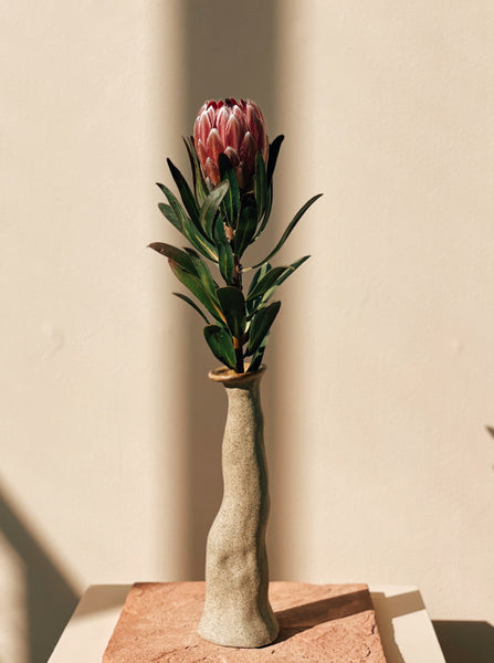 protea presente flores especiais entega em sp
