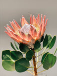 protea king FLO atelier botânico