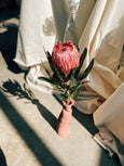 comprar flor protea em sp FLO atelier botânico