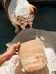 relevos FLO atelier botanico cachepot de ceramica marmorizada